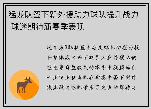 猛龙队签下新外援助力球队提升战力 球迷期待新赛季表现